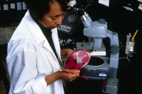 Women in STEM: A Human Issue