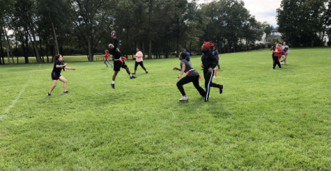 Powderpuff