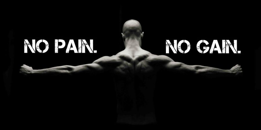 No+Pain%2C+No+Gain