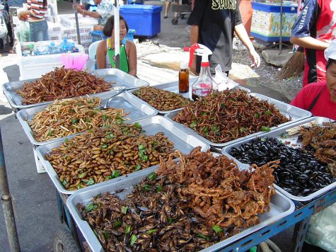 Benefits of Bug Eating