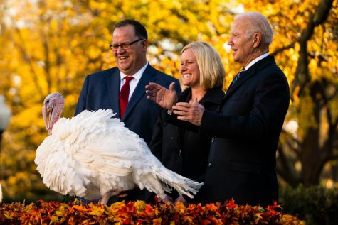 President Joe Biden pardoning Peanut Butter the turkey.