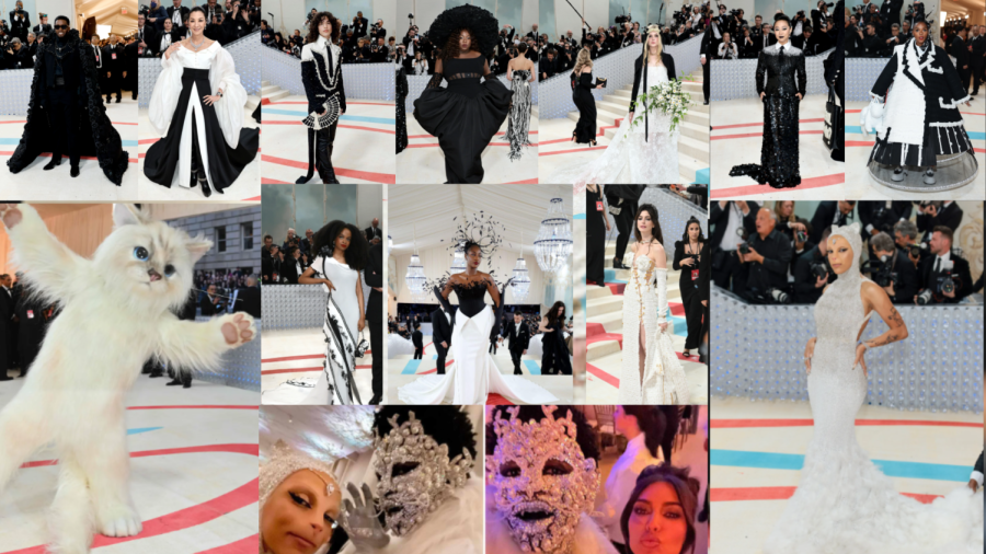 Met Gala 2023 - Celebrity Fashion & Cats!?