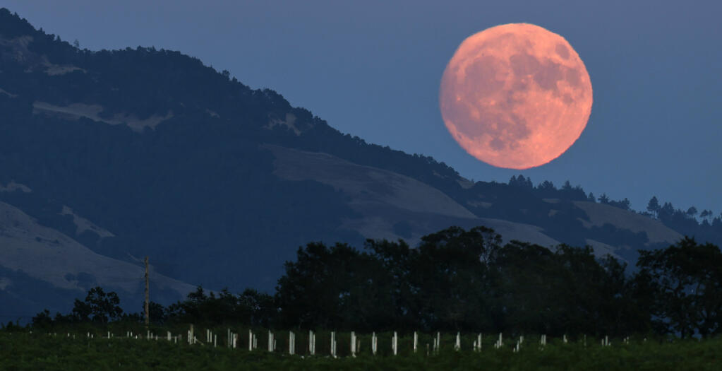 At 99.99% full, a blue super moon, or the sturgeon moon, rises over Bennett Mountain, Sunday, Aug. 18, 2024, photographed from Hartman Rd. In Santa Rosa. The supermen appears A super rmoon appears 30% brighter and 14% larger than a typical full moon.  (Kent Porter / The Press Democrat) 2024