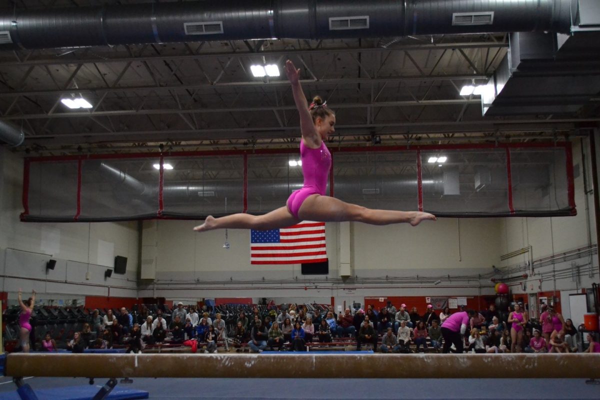 State Gymnast, the Resilient Nora Werner